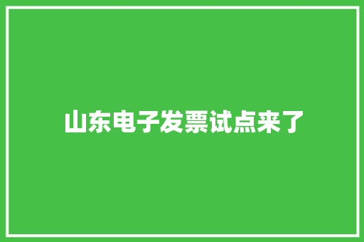 山东电子发票试点来了 山东电子发票试点来了 智能科技