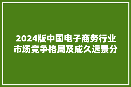 2024版中国电子商务行业市场竞争格局及成久远景分析申报