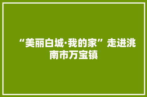 “美丽白城·我的家”走进洮南市万宝镇 “美丽白城·我的家”走进洮南市万宝镇 人工智能