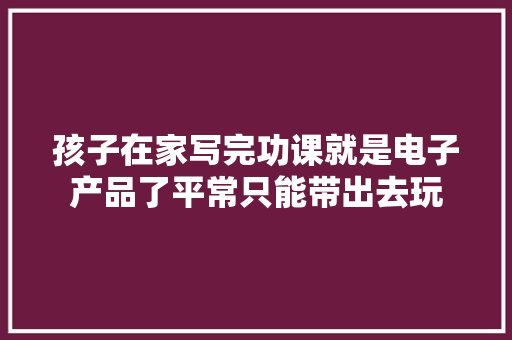 孩子在家写完功课就是电子产品了平常只能带出去玩 孩子在家写完功课就是电子产品了平常只能带出去玩 智能家居
