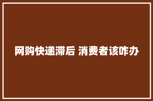 网购快递滞后 消费者该咋办