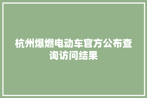 杭州爆燃电动车官方公布查询访问结果 杭州爆燃电动车官方公布查询访问结果 智能科技