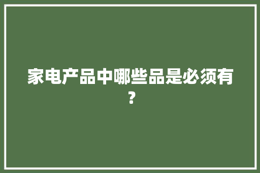 家电产品中哪些品是必须有？