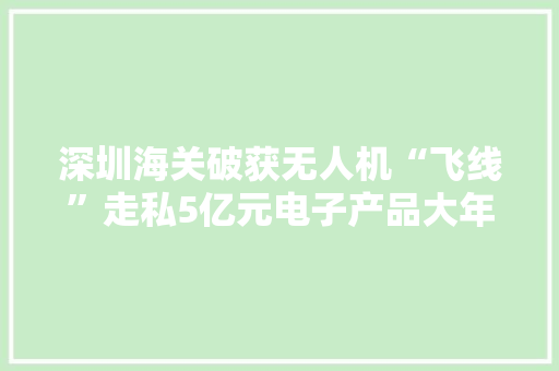 深圳海关破获无人机“飞线”走私5亿元电子产品大年夜案