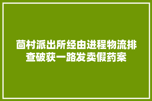 茴村派出所经由进程物流排查破获一路发卖假药案 茴村派出所经由进程物流排查破获一路发卖假药案 智能家居