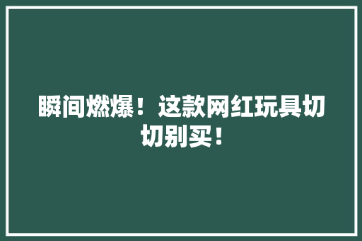 瞬间燃爆！这款网红玩具切切别买！