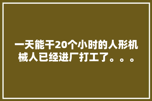 一天能干20个小时的人形机械人已经进厂打工了。。。