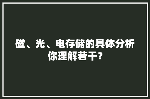 磁、光、电存储的具体分析你理解若干？