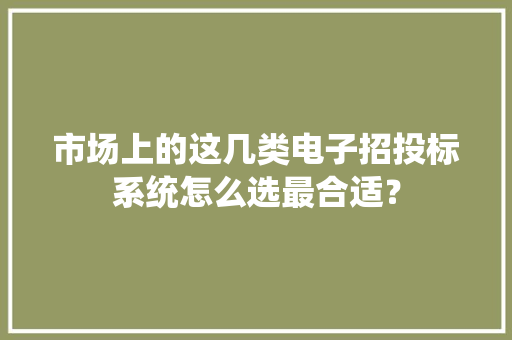 市场上的这几类电子招投标系统怎么选最合适？
