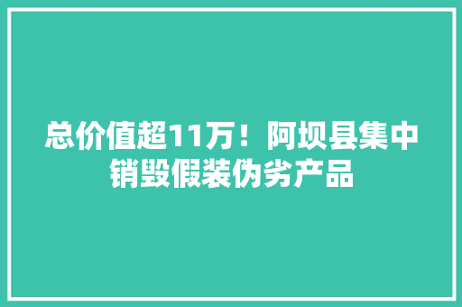 总价值超11万！阿坝县集中销毁假装伪劣产品