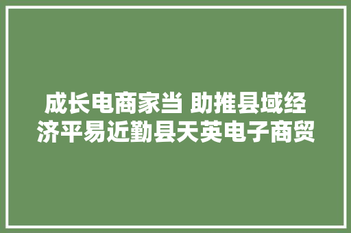 成长电商家当 助推县域经济平易近勤县天英电子商贸有限公司见闻