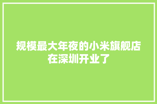 规模最大年夜的小米旗舰店在深圳开业了 规模最大年夜的小米旗舰店在深圳开业了 互联通信
