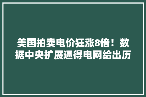 美国拍卖电价狂涨8倍！数据中央扩展逼得电网给出历史性高价