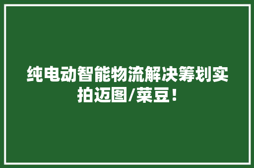 纯电动智能物流解决筹划实拍迈图/菜豆！