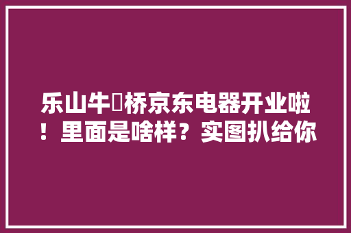 乐山牛咡桥京东电器开业啦！里面是啥样？实图扒给你看
