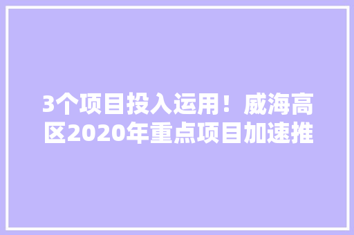 3个项目投入运用！威海高区2020年重点项目加速推进