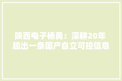 陕西电子杨勇：深耕20年 趟出一条国产自立可控信息化之路
