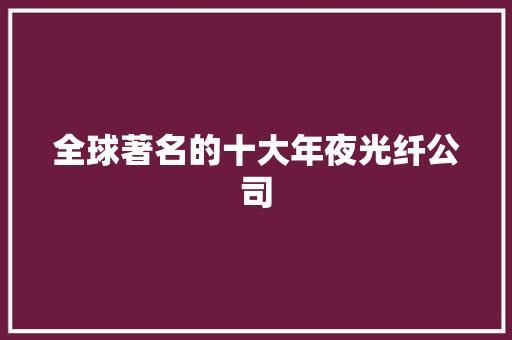 全球著名的十大年夜光纤公司