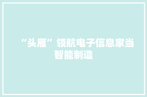 “头雁”领航电子信息家当智能制造