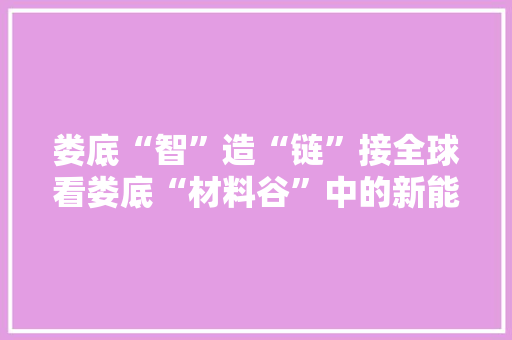 娄底“智”造“链”接全球看娄底“材料谷”中的新能源汽车配套家当