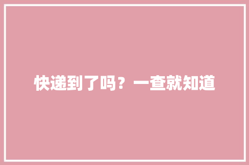 快递到了吗？一查就知道