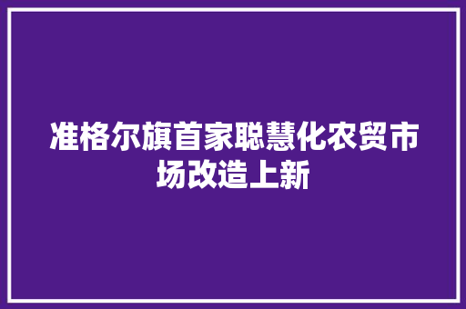 准格尔旗首家聪慧化农贸市场改造上新