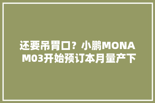 还要吊胃口？小鹏MONA M03开始预订本月量产下线 还要吊胃口？小鹏MONA M03开始预订本月量产下线 智能科技