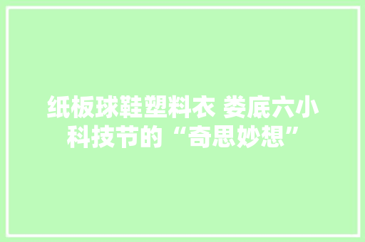 纸板球鞋塑料衣 娄底六小科技节的“奇思妙想”