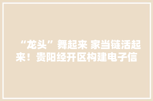 “龙头”舞起来 家当链活起来！贵阳经开区构建电子信息制造家当生态圈不雅观察