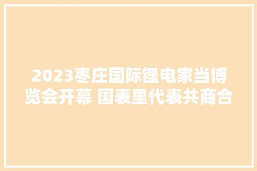 2023枣庄国际锂电家当博览会开幕 国表里代表共商合作成长