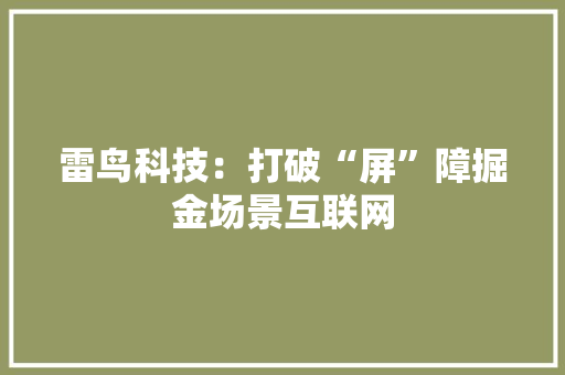 雷鸟科技：打破“屏”障掘金场景互联网 雷鸟科技：打破“屏”障掘金场景互联网 智能家居