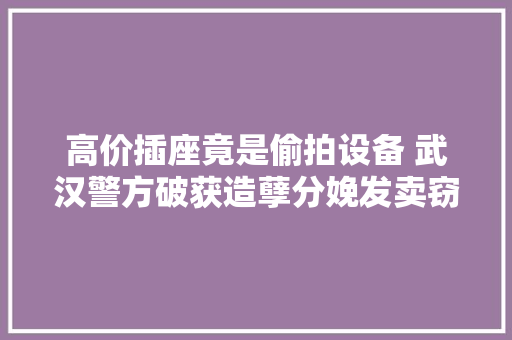 高价插座竟是偷拍设备 武汉警方破获造孽分娩发卖窃听窃照专用器材案 高价插座竟是偷拍设备 武汉警方破获造孽分娩发卖窃听窃照专用器材案 智能科技