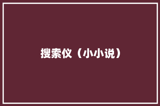 搜索仪（小小说）