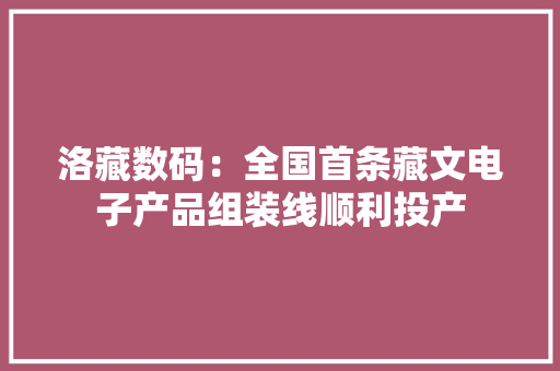 洛藏数码：全国首条藏文电子产品组装线顺利投产