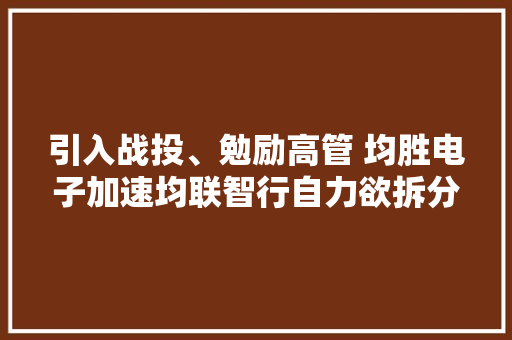引入战投、勉励高管 均胜电子加速均联智行自力欲拆分上市？ 引入战投、勉励高管 均胜电子加速均联智行自力欲拆分上市？ 智能科技