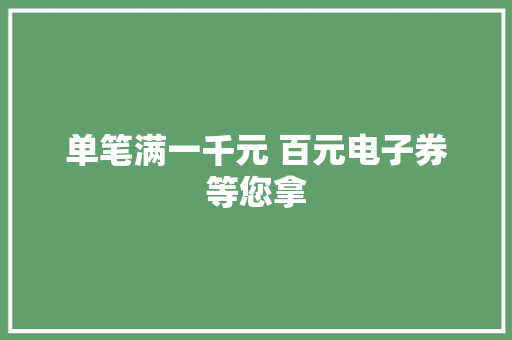 单笔满一千元 百元电子券等您拿