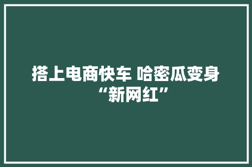 搭上电商快车 哈密瓜变身“新网红”