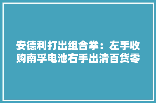 安德利打出组合拳：左手收购南孚电池右手出清百货零售业 奠定基业长青