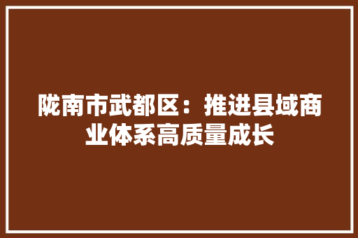 陇南市武都区：推进县域商业体系高质量成长