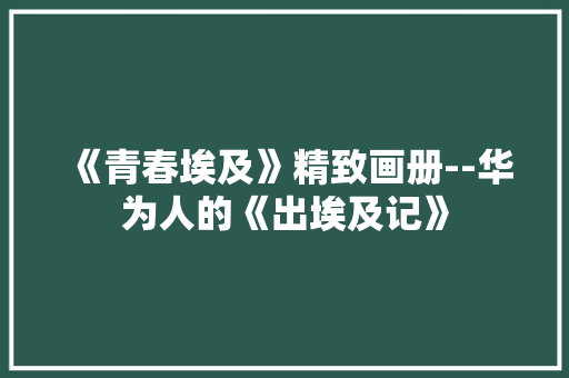 《青春埃及》精致画册--华为人的《出埃及记》 《青春埃及》精致画册--华为人的《出埃及记》 互联通信
