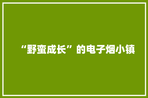 “野蛮成长”的电子烟小镇