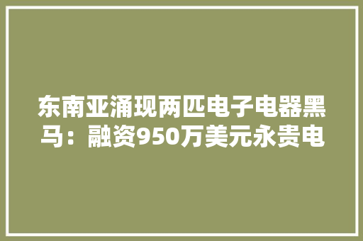 东南亚涌现两匹电子电器黑马：融资950万美元永贵电器参投 东南亚涌现两匹电子电器黑马：融资950万美元永贵电器参投 人工智能