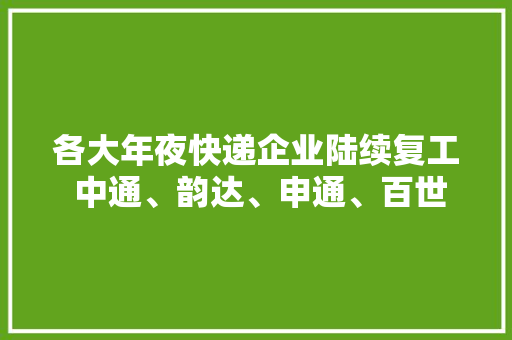 各大年夜快递企业陆续复工 中通、韵达、申通、百世今日周全恢复正常营运