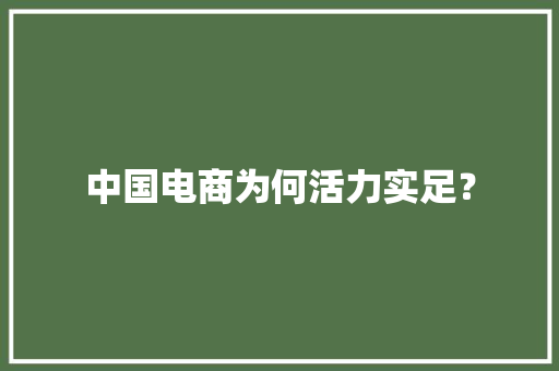 中国电商为何活力实足？
