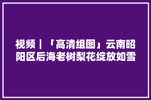 视频｜「高清组图」云南昭阳区后海老树梨花绽放如雪 吸引搭客接踵而至 视频｜「高清组图」云南昭阳区后海老树梨花绽放如雪 吸引搭客接踵而至 互联通信