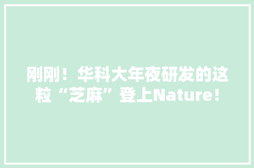 刚刚！华科大年夜研发的这粒“芝麻”登上Nature！