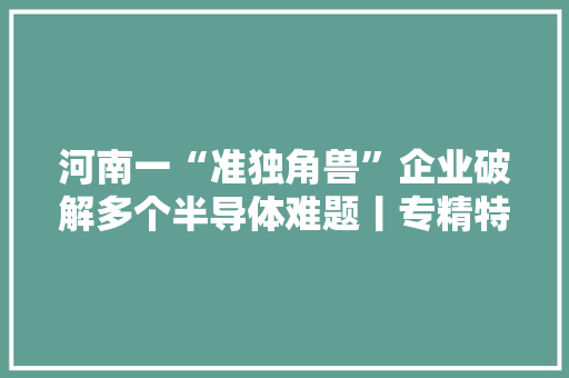 河南一“准独角兽”企业破解多个半导体难题丨专精特新看河南2