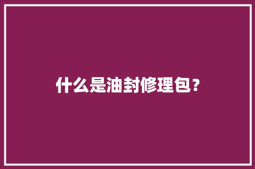 什么是油封修理包？