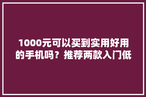 1000元可以买到实用好用的手机吗？推荐两款入门低价超实用