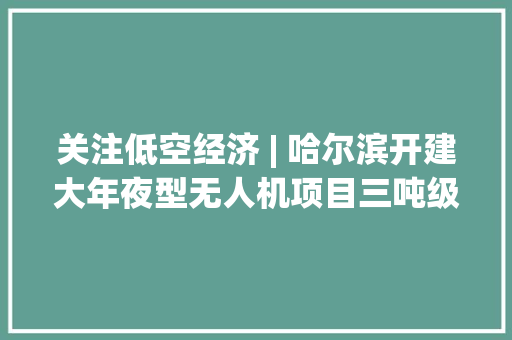 关注低空经济 | 哈尔滨开建大年夜型无人机项目三吨级无人机即将起飞